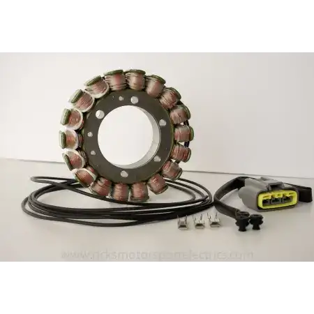 Statore tipo OEM-21110211