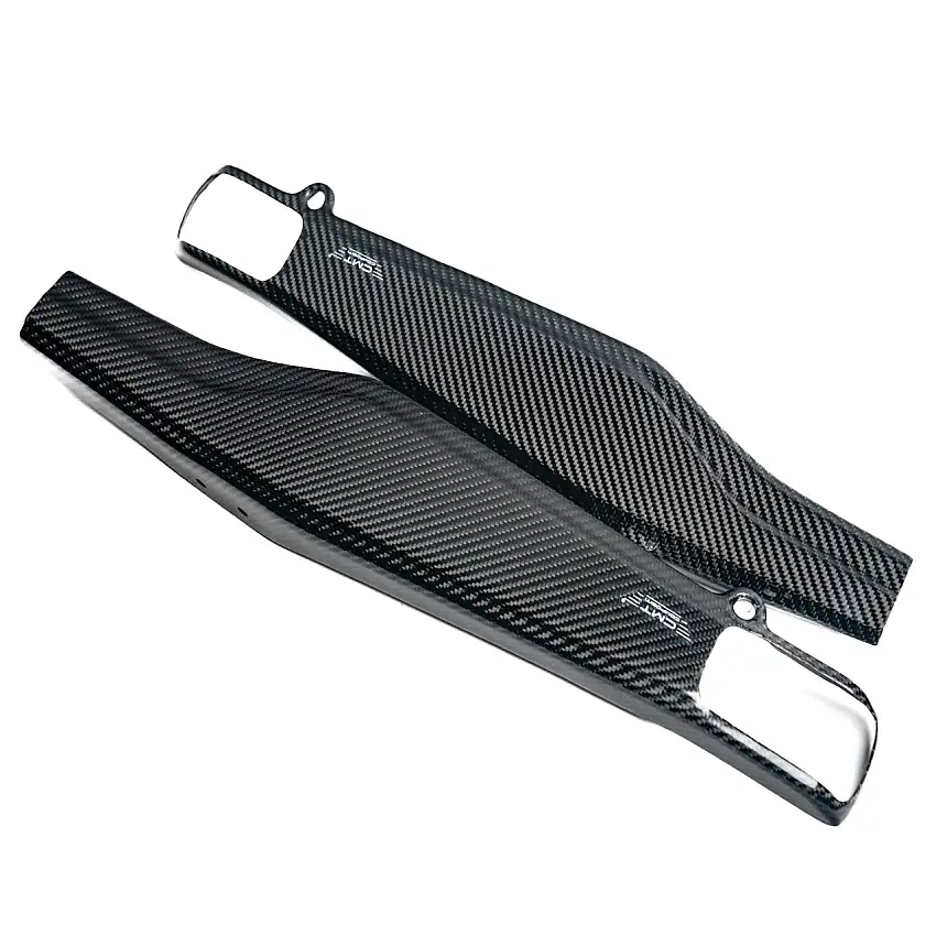 PROTEZIONI FORCELLONE IN CARBONIO per DUCATI 698 MONO 2024 - 2025-DH0019