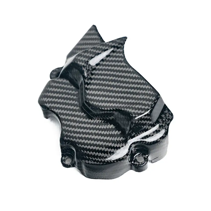 PARAPIGNONE IN CARBONIO per DUCATI 698 MONO 2024 - 2025-DH0028