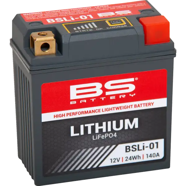 Lithium LiFePO4 Battery-21130783