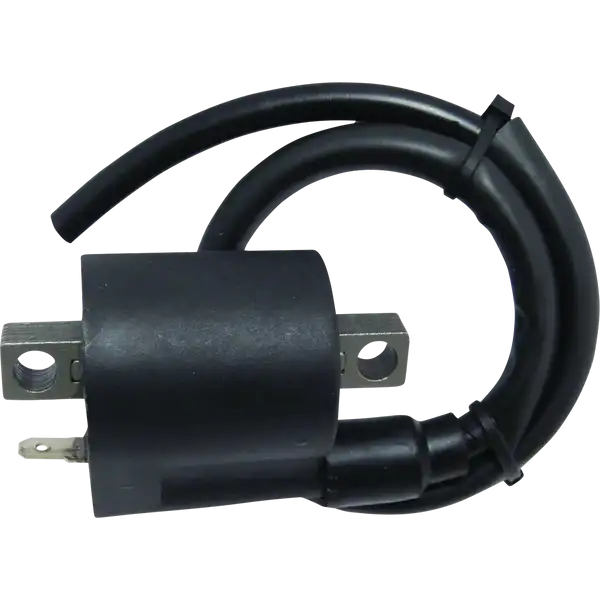 Ignition Coil-21020442