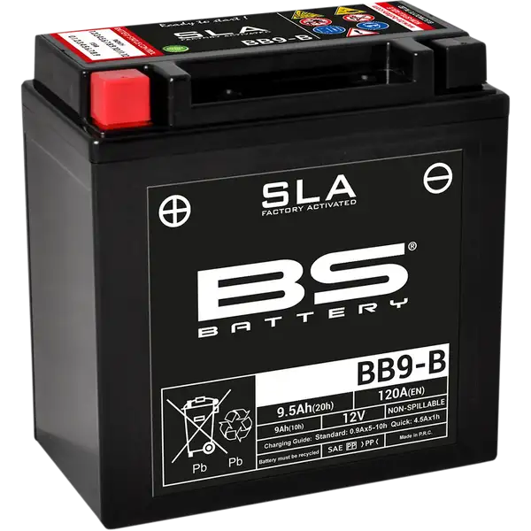 SLA Factory- Activated AGM Maintenance-Free Battery-21130605