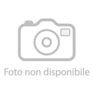 PF 24 perno ruota Ø 20 mm interasse 90.5 mm silver pinza flottante brembo codice 22C60910