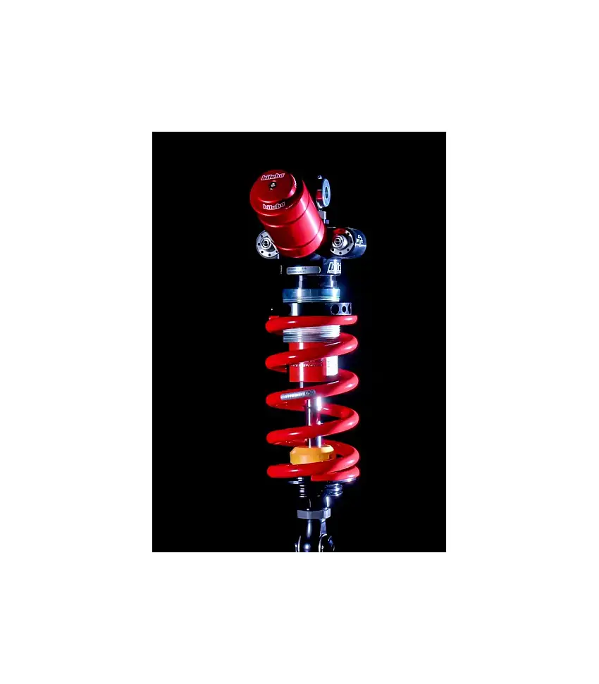 MONO POSTERIORE RACING BITUBO XXT1 PER APRILIA RS 660